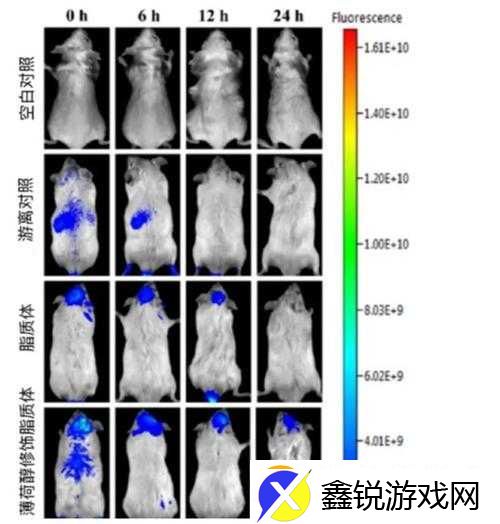 腰一沉突破最后一层屏障成功